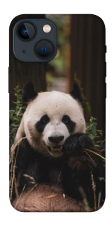 Чехол на Apple iPhone 13 mini (5.4") Панда фото 1 из 1
