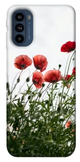 Чохол на Motorola Moto G41 Поле маків фото 1 з 1