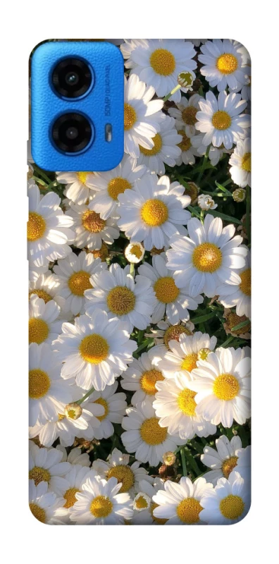 Чехол на Motorola Moto G45 Поле ромашек фото 1 из 1