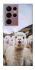 Чохол на Samsung Galaxy S22 Ultra Лама фото 1 з 1