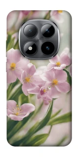 Чехол на Xiaomi Redmi Note 15 Pro 5G Spring фото 1 из 1