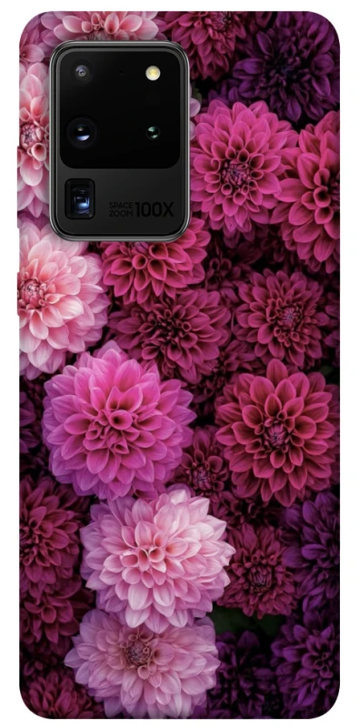 Чохол на Samsung Galaxy S20 Ultra Garden1 фото 1 з 1