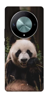 Чехол на Huawei Magic6 Lite Панда фото 1 из 1
