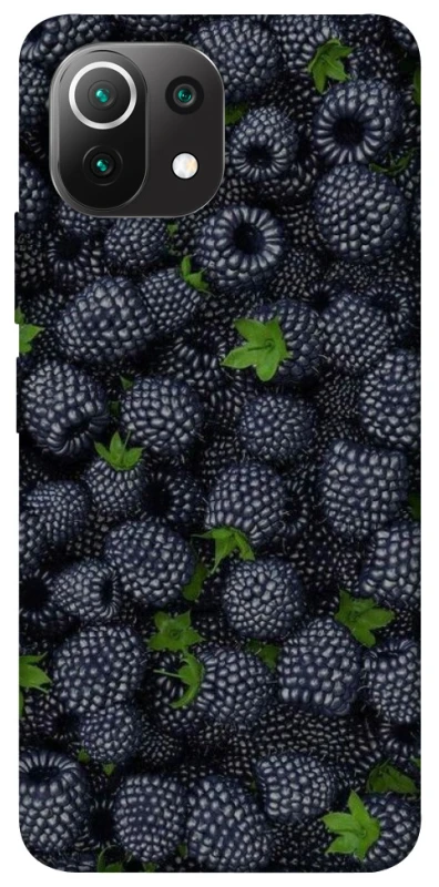 Чохол на Xiaomi Mi 11 Lite Fresh фото 1 з 1