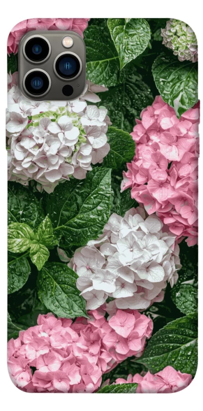 Чохол на Apple iPhone 12 Pro (6.1") Secret Garden фото 1 з 1