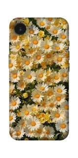 Чохол на Apple iPhone 16e (6.1") Camomile фото 1 з 1