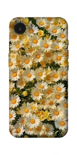 Чохол на Apple iPhone 17e (6.1") Camomile фото 1 з 1