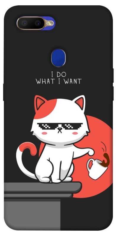 Чохол на Oppo A5s I do what i wont фото 1 з 1