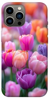 Чохол на Apple iPhone 12 Pro Max (6.7") Тюльпанове поле фото 1 з 1