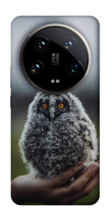 Чехол на Xiaomi 14 Ultra Совёнок фото 1 из 1