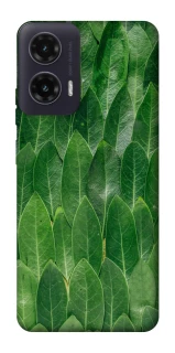 Чехол на Motorola Moto G35 Листья фото 1 из 1
