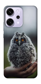 Чехол на Oppo Reno 14 Pro Совёнок фото 1 из 1