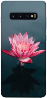 Чохол на Samsung Galaxy S10+ Лотос фото 1 з 1