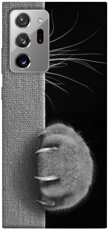 Чехол на Samsung Galaxy Note 20 Ultra Spy Cat фото 1 из 1