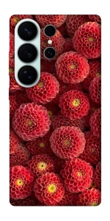 Чохол на Samsung Galaxy S26 Ultra Midnight1 фото 1 з 1