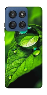 Чохол на Motorola Edge 60 Stylus Flowers v16 фото 1 з 1
