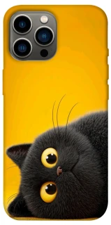 Чохол на Apple iPhone 12 Pro Max (6.7") This is Cat фото 1 з 1