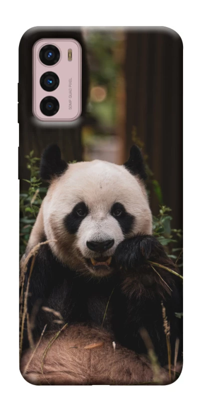 Чохол на Motorola Moto G42 Панда фото 1 з 1