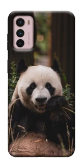 Чохол на Motorola Moto G42 Панда фото 1 з 1