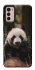 Чохол на Motorola Moto G42 Панда фото 1 з 1