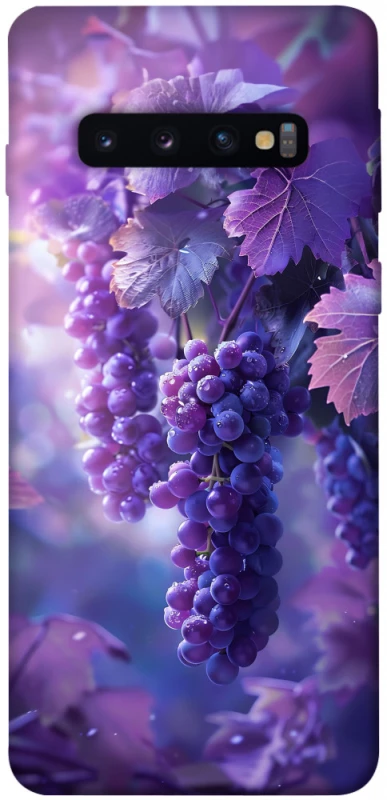 Чохол на Samsung Galaxy S10 Bunch of grapes фото 1 з 1