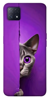 Чохол на Oppo A72 5G / A73 5G Кіт-підглядач фото 1 з 1