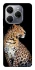 Чехол на TECNO Spark 20 Pro Leopard v2 фото 1 из 1