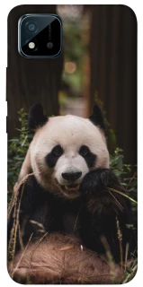 Чехол на Realme C11 (2021) Панда фото 1 из 1