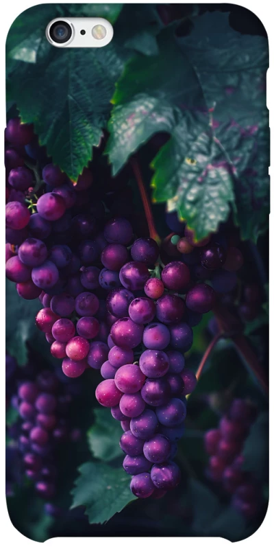 Чехол на Apple iPhone 6/6s plus (5.5") Grape фото 1 из 1