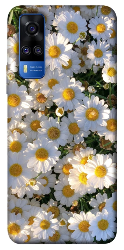 Чохол на Vivo Y51a Поле ромашок фото 1 з 1