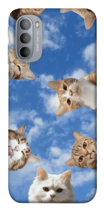 Чохол на Motorola Moto G31 Сats фото 1 з 1