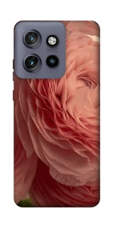 Чехол на Motorola Edge 50 Neo Elegance фото 1 из 1