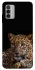 Чехол на Nokia G42 Leopard v4 фото 1 из 1