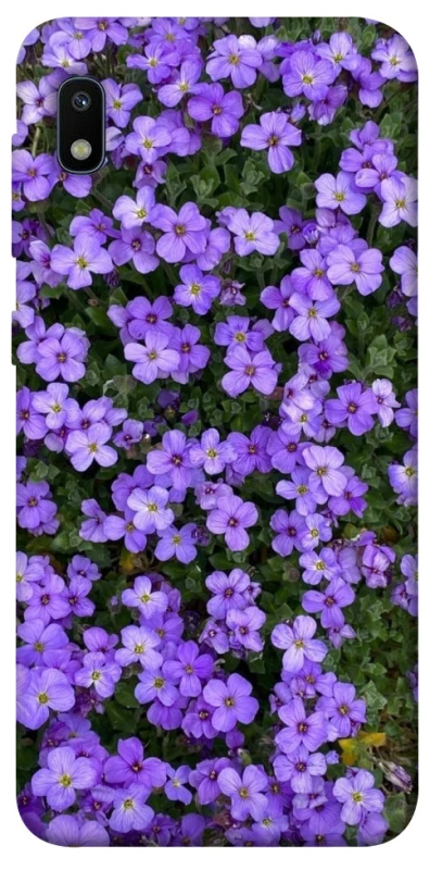 Чохол на Samsung Galaxy A10 (A105F) Flowers v17 фото 1 з 1