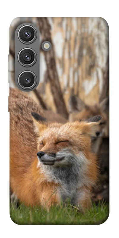 Чехол на Samsung Galaxy S24+ Лиса фото 1 из 1