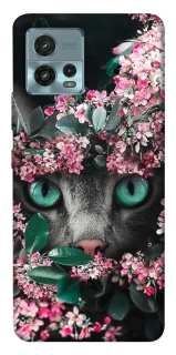 Чохол на Motorola Moto G72 Кіт в квітах фото 1 з 1