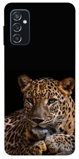 Чехол на Samsung Galaxy M52 Leopard v4 фото 1 из 1