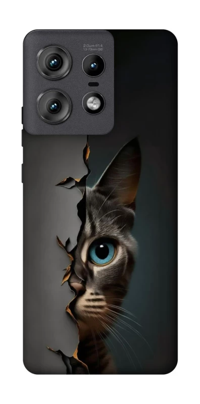 Чохол на Motorola Edge 50 Pro Кіт-підглядач v2 фото 1 з 1