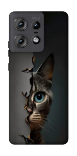 Чехол на Motorola Edge 50 Pro Кот-подглядыватель v2 фото 1 из 1