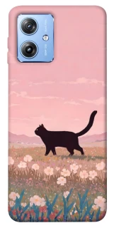 Чехол на Motorola Moto G84 cat on a field фото 1 из 1