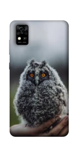 Чехол на ZTE Blade A31 Совёнок фото 1 из 1