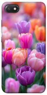 Чохол на Xiaomi Redmi 6A Тюльпанове поле фото 1 з 1