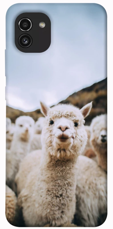 Чохол на Samsung Galaxy A03 Лама фото 1 з 1