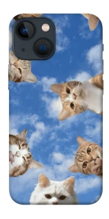Чохол на Apple iPhone 13 mini (5.4") Сats фото 1 з 1