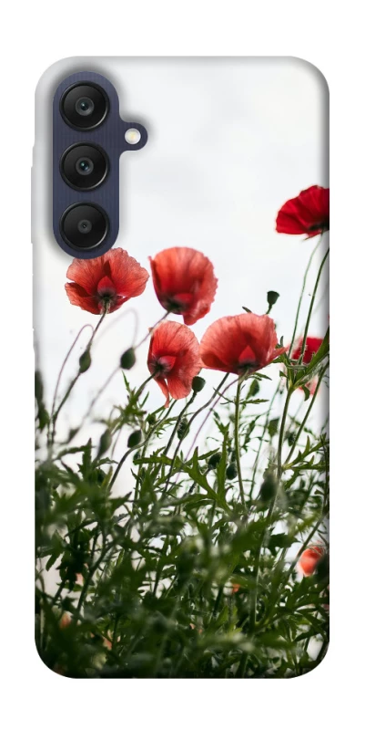 Чехол на Samsung Galaxy A25 5G Поле маков фото 1 из 1