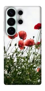 Чохол на Samsung Galaxy S26 Ultra Поле маків фото 1 з 1