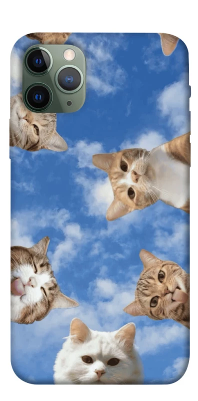 Чохол на Apple iPhone 11 Pro (5.8") Сats фото 1 з 1