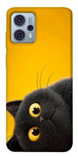 Чохол на Motorola Moto G23 This is Cat фото 1 Чохол на Motorola Moto G23 This is Cat фото 1 з 1
