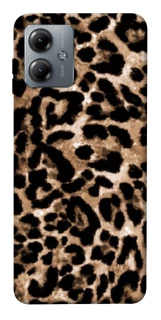 Чохол на Motorola Moto G14 Leopard Skin v4 фото 1 з 1