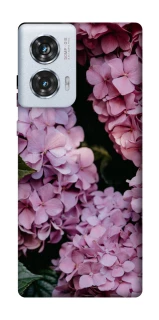 Чохол на Motorola Edge 50 Fusion Рожеві гартензії фото 1 з 1